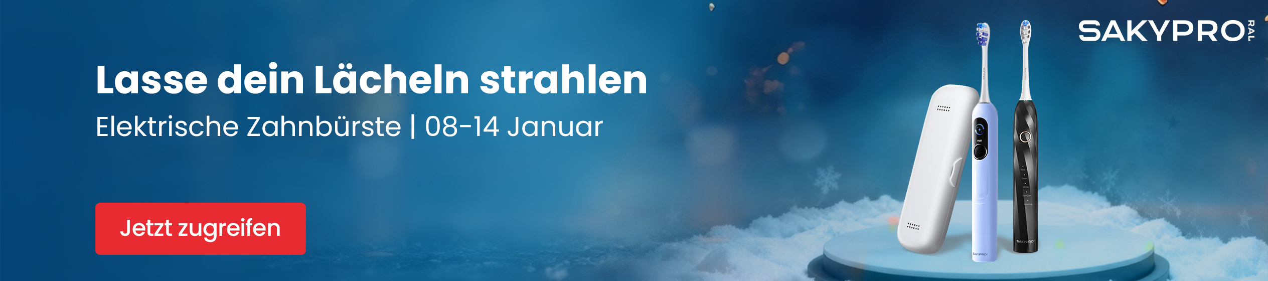 Big Promotion banner