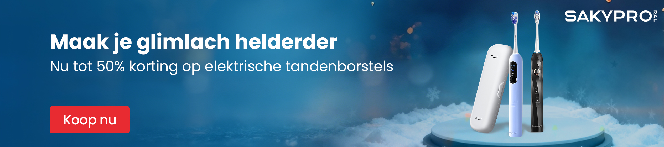 Big Promotion banner