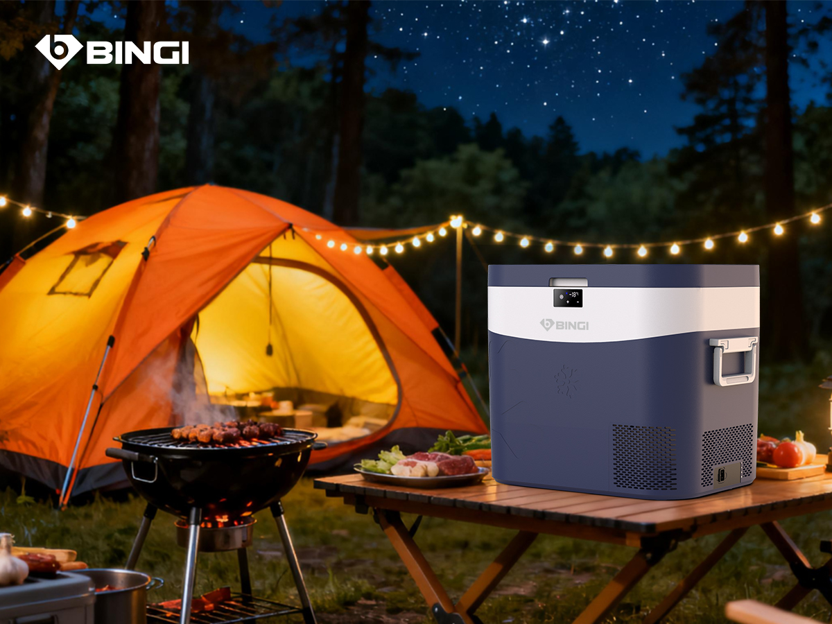 BINGI Kompressor Khlbox 22L Tragbarer Auto Khlschrank 12/24V DC und 230V  AC Mini Gefrierschrank fr Auto, LKW, Camping, Wohnmobil und Zuhause (15  bis -18) | Auto-Elektrogerte | Joybuy