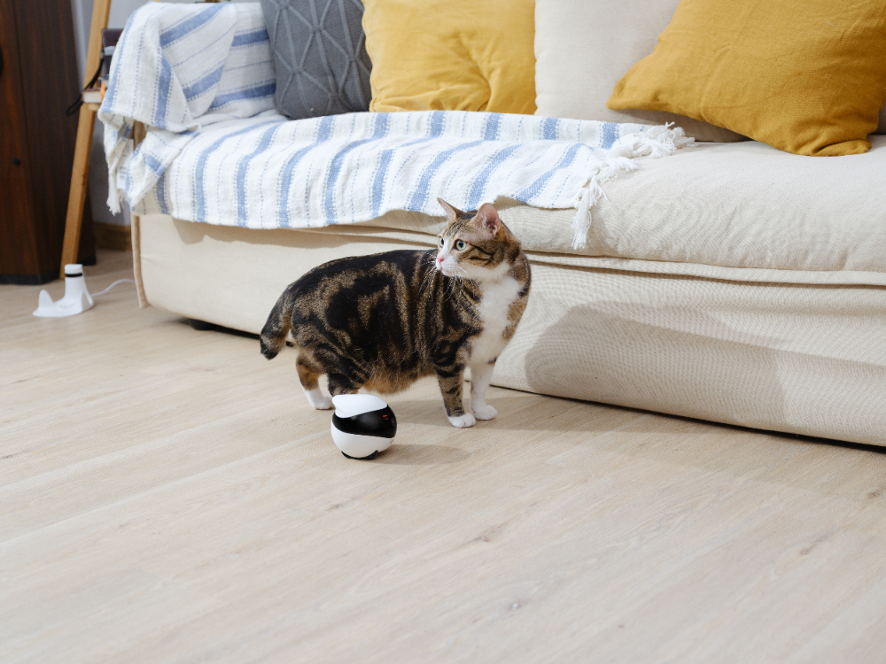 Enabot EBO SE Robotcamera voor huisdieren met wielen, bewakingscamera voor binnen, 1080p, automatische cruise, bidirectionele audio en nachtzicht