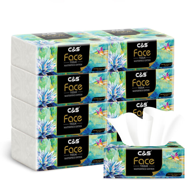 C&S Facial Tissues 4-Ply Soft Pack, 640 Sheets (8 Packs) with Art Oil Painting Design for Home & Kitchen Use
