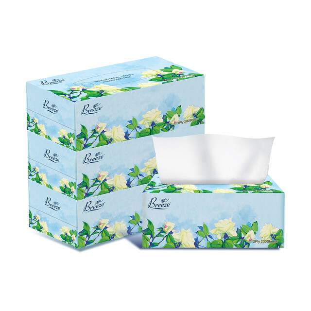 Breeze Facial Tissues: Floral Design L Size 2-Ply, 3 Boxes (200 Sheets Each) - Soft, Skin-Friendly & Strong When Wet for Home Office