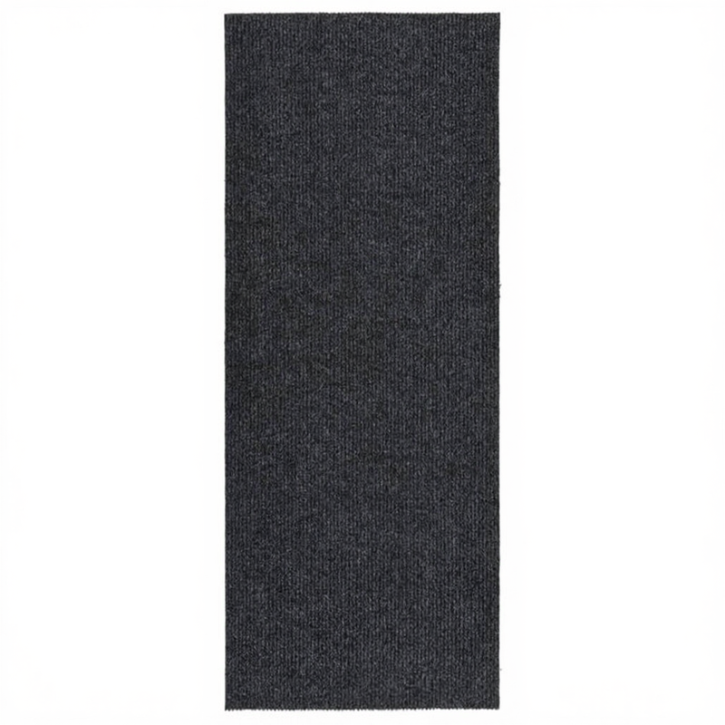 vidaXL Droogloopmat 100x250 cm antracietkleurig