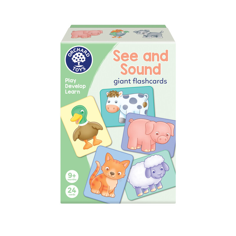See and Sounds Giant Flashcards