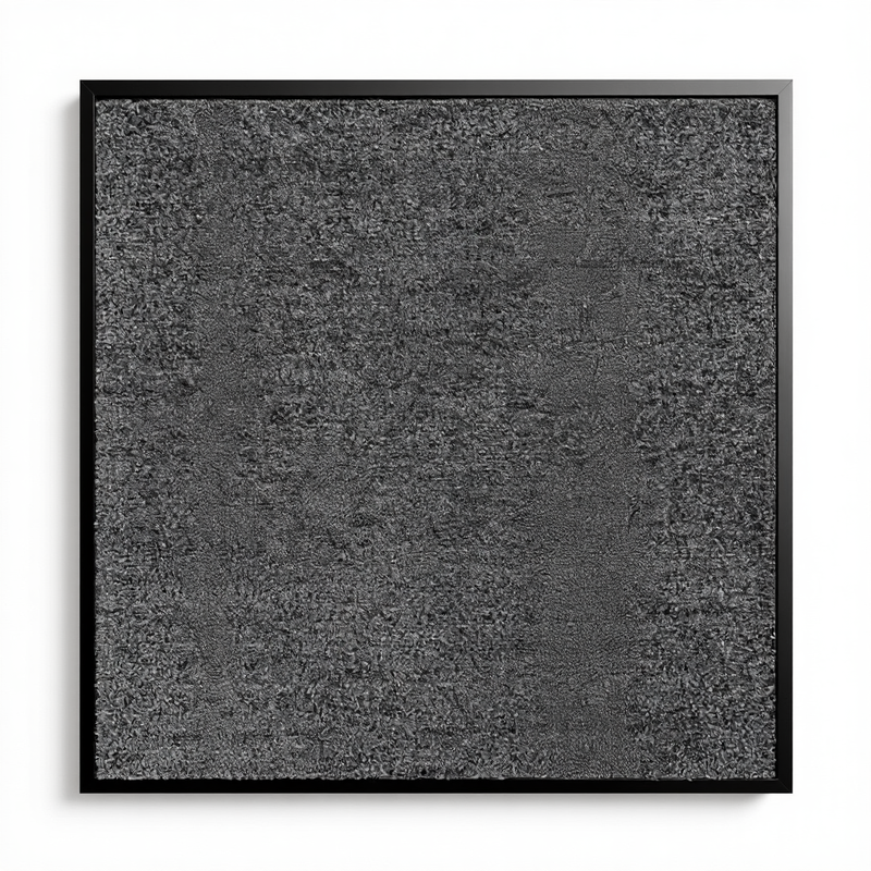 Waschbare Fußmatte 40 × 60 cm Anthrazit