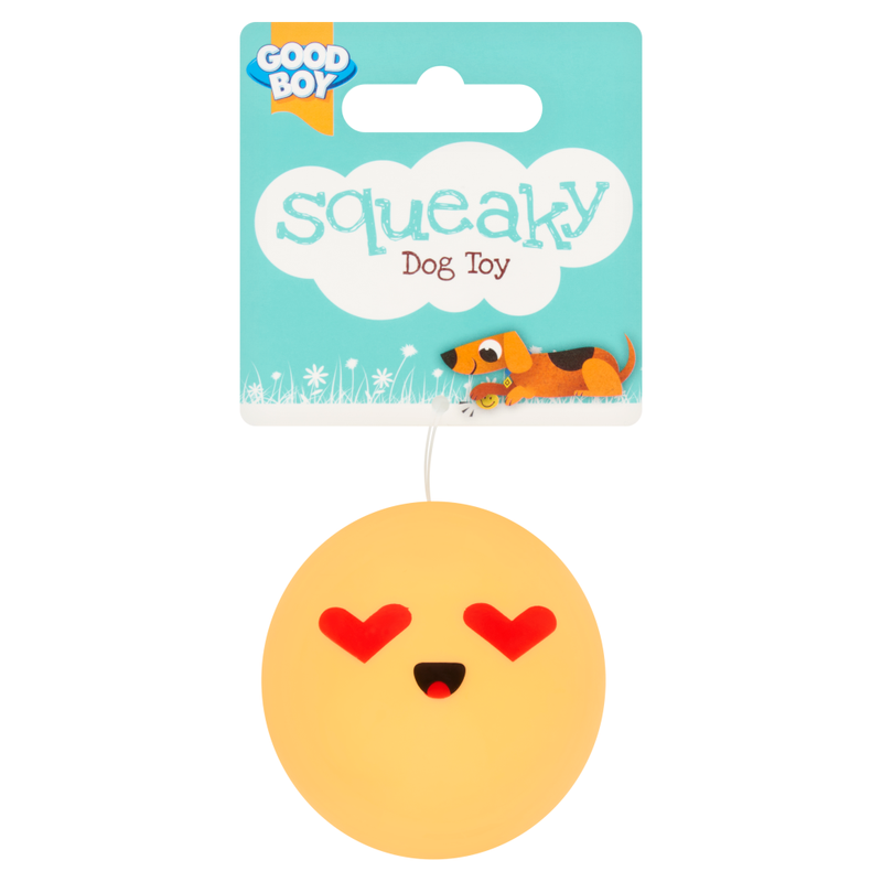 Squeaky Dog Toy