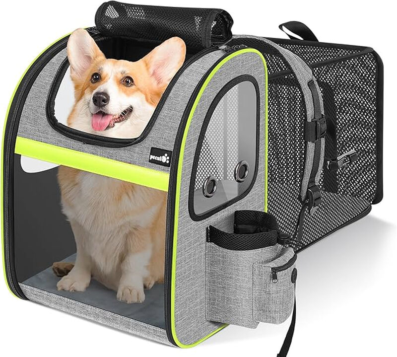 Pet Carrier Backpack Expandable XL