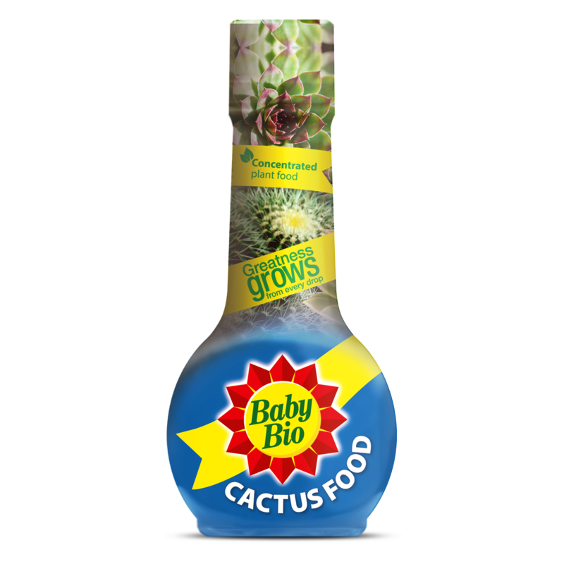 Cactus Plant Feed 175ml