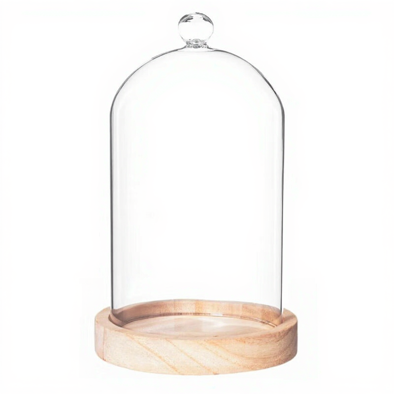Cloche 19 cm hoch mit naturbelassener Holzunterlage