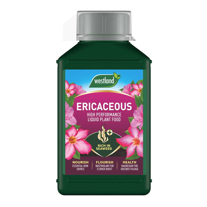 Ericaceous Plant Feed 1L