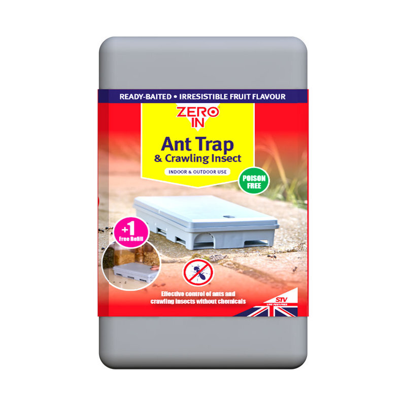 Ant Trap