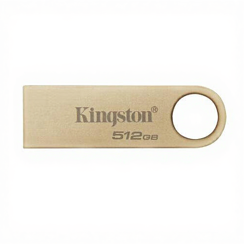 Kingston Technology DataTraveler 512GB 220MB/s Metal USB 3.2 Gen 1 SE9 G3