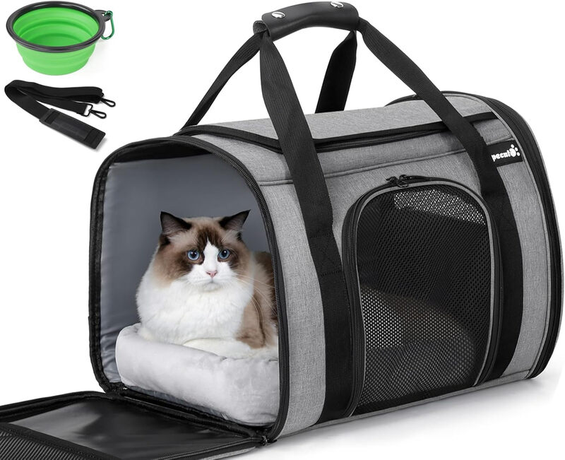 Pet Carrier with Mat