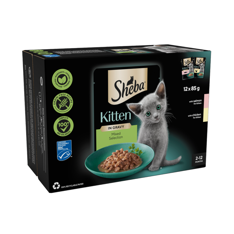 Mixed Selection Kitten Wet Cat Food in Gravy 12 x 85g Pouch