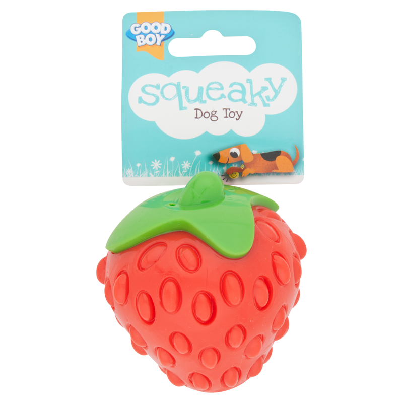 Squeaky Fruit Dog Toy