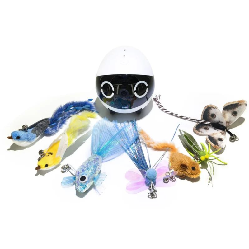 ROLA Mini Accessories (Cat Teaser Wand Set), Dedicated Interactive Toy for Pet Robot