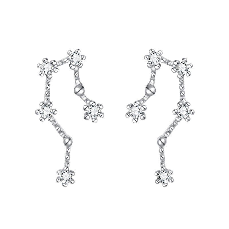 Aquarius Zodiac Constellation Cubic Zirconia Stud Earrings