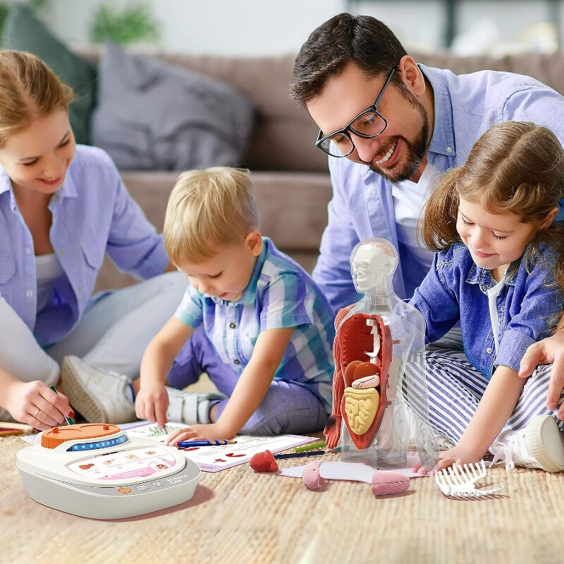 Science Can Kids pratende menselijke anatomie-model STEM-speelgoedset, 30 cm, vanaf 6 jaar, Nieuwjaarsverkoop, top cadeaukeuzes