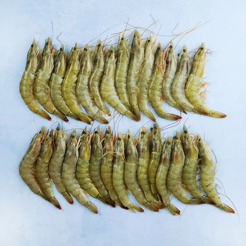 Whole Raw XL King Prawns - Raw - XL Prawns - 1000g
