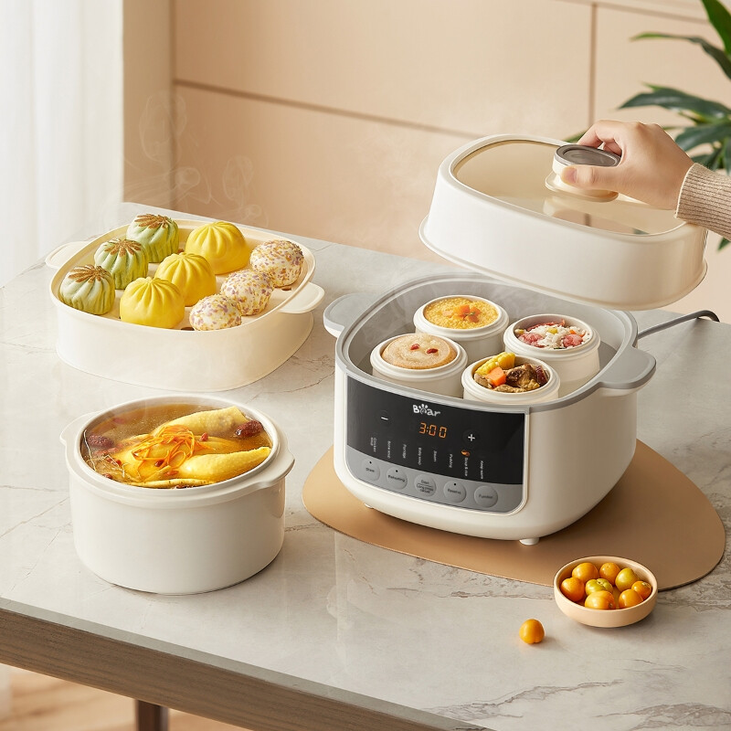 Electric Steamer Pot With Steaming Basket & Transparent Glass Lid DDZ-J25G2