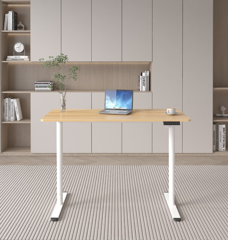 Ochama X Ergonomic Standing Seat Stand Desk Lifting Table Electric Height Adjustable
