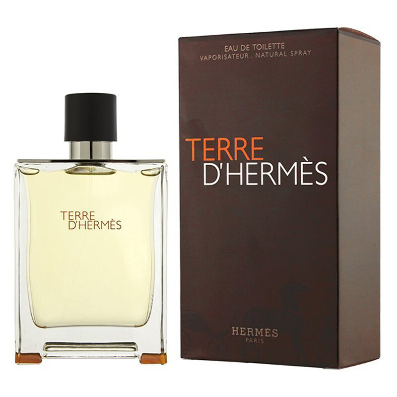 Hermes Terre d'Hermès Eau de Toilette 100ml