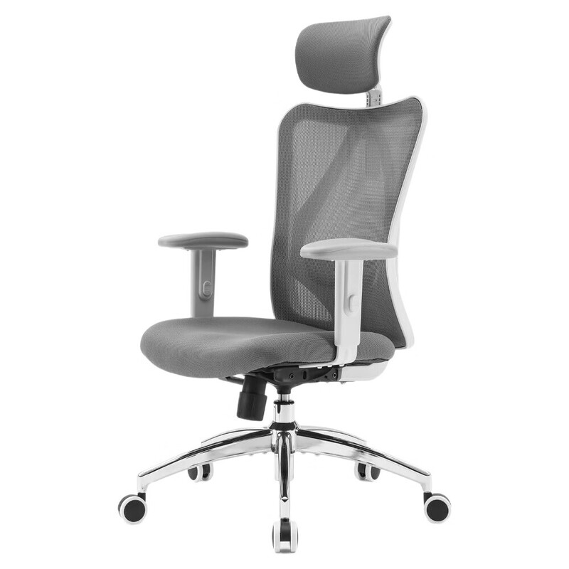 Sihoo M18 ergonomischer Bürostuhl, Schreibtischstuhl mit verstellbarer Kopfstütze und Lordosenstütze, drehbarer Chefsessel mit hoher Rückenlehne für das Homeoffice (Grau)