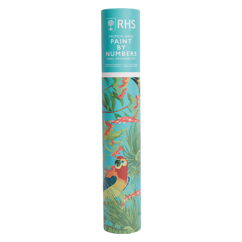 Paint By Numbers Hanging Kit Tropical Birds 400 x 500 mm