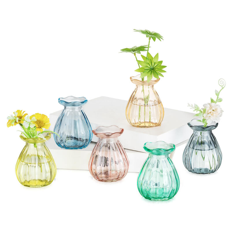 6 stuks 8,5 cm kleine glazen vaas voor tafeldecoraties: prachtige glazen vazen voor thuis, woonkamer en eettafels, bruiloften en feestjes - gekleurde vazen voor bloemen, planten en boeketten