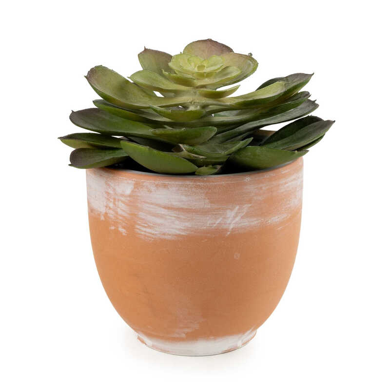 Candlelight Green Artificial Echeveria Succulent In Terracotta Effect Pot 13Cm