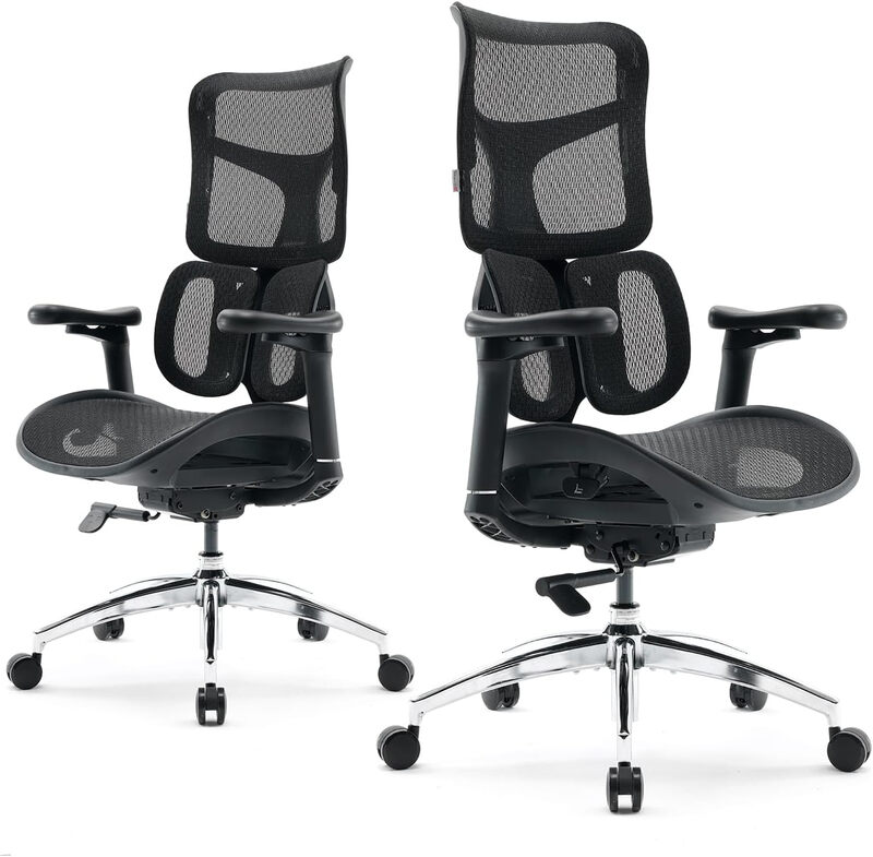 Silla Ergonómica Sihoo Doro S100 Soporte Lumbar Dinámico Doble & Respaldo Ajustable 5D