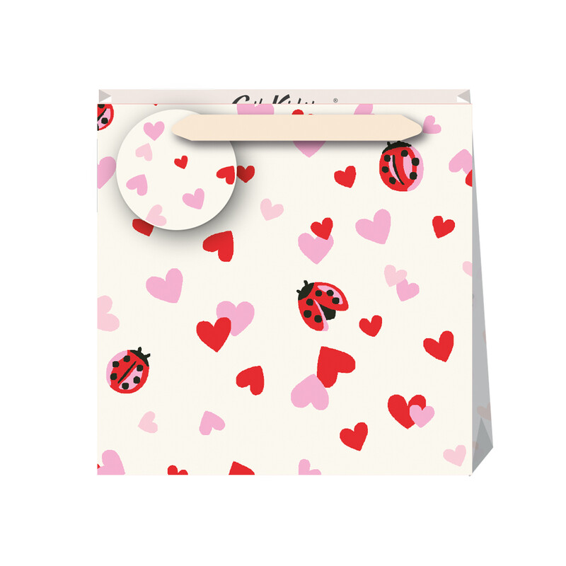 Love Bug Small Gift Bag