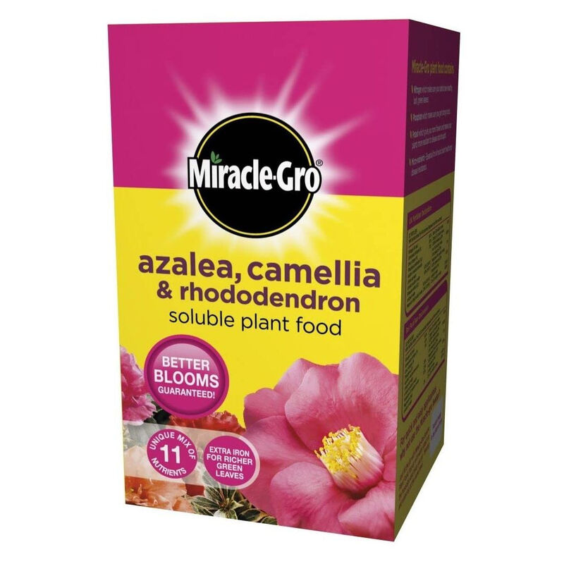 Azalea, Camellia and Rhododendron Soluble Feed 500g