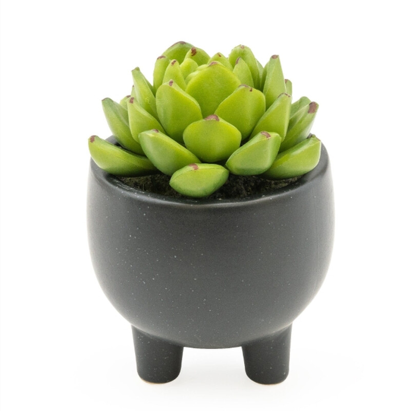 Candlelight Black Artificial Echeveria Succulent In Ceramic Pot 7.4Cm