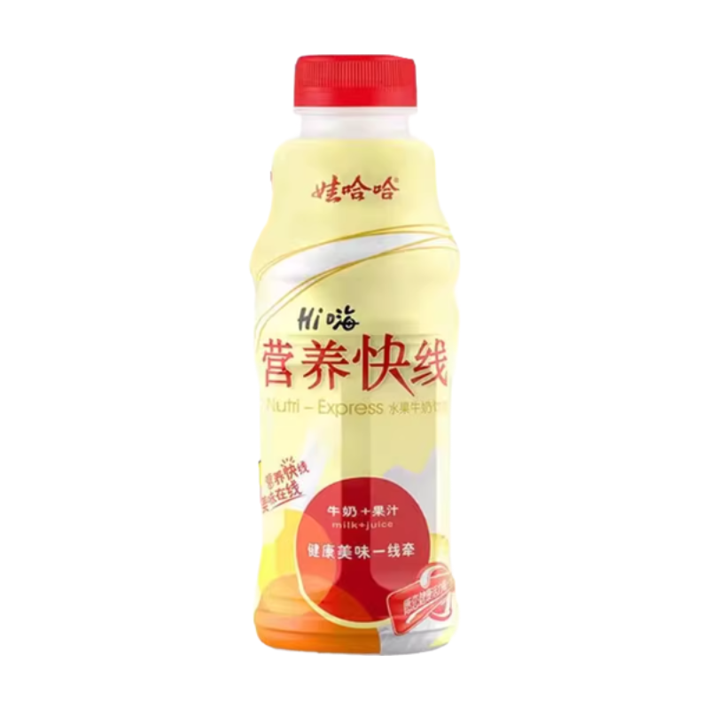 Nutri-Express Pineapple Flavor 500ml