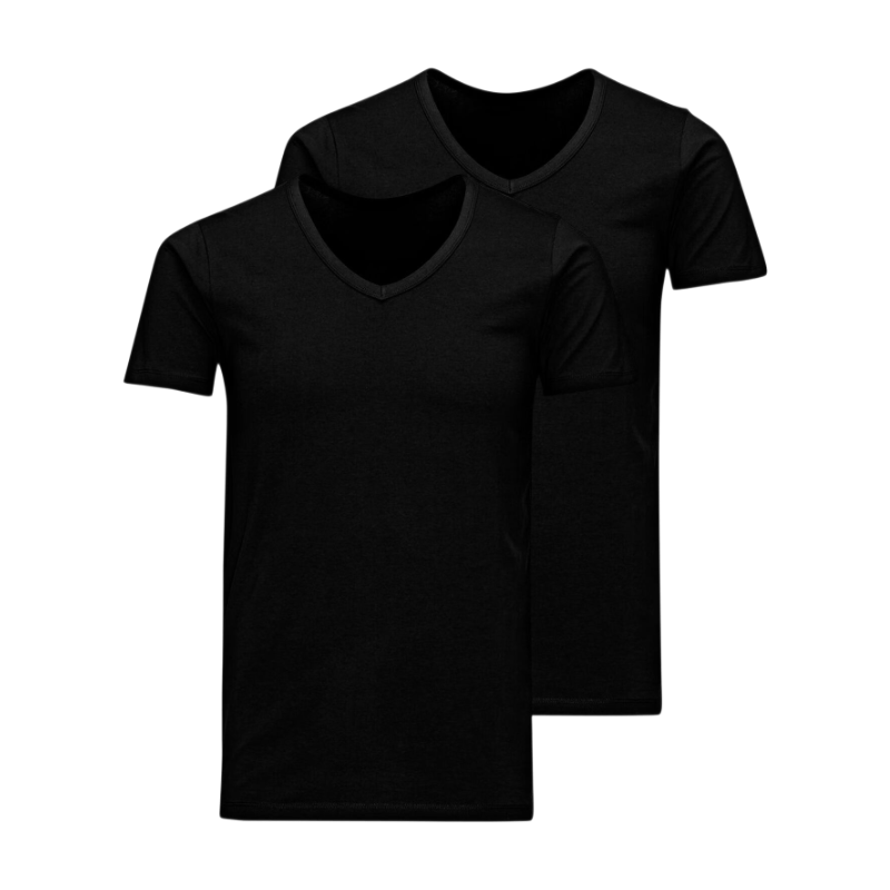 JACK&JONES Additionals Jacbasic V-hals T-shirt SS 2-pack Noos Regular Fit