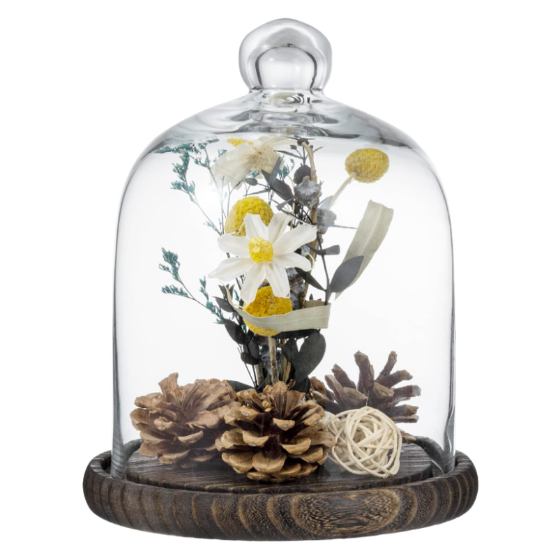 MyGift Transparente Glasglocke mit Holzsockel, 24,1H x 18,9D cm, Braun