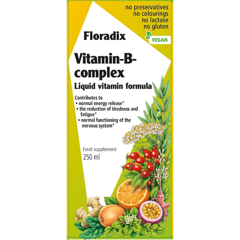 Floradix Orange Vitamin B Complex Energy Support Liquid Formula - 250Ml