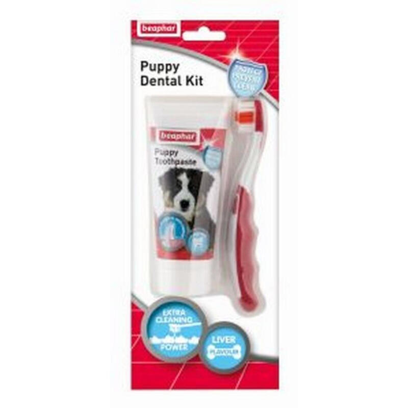 Puppy Dental Kit 50g