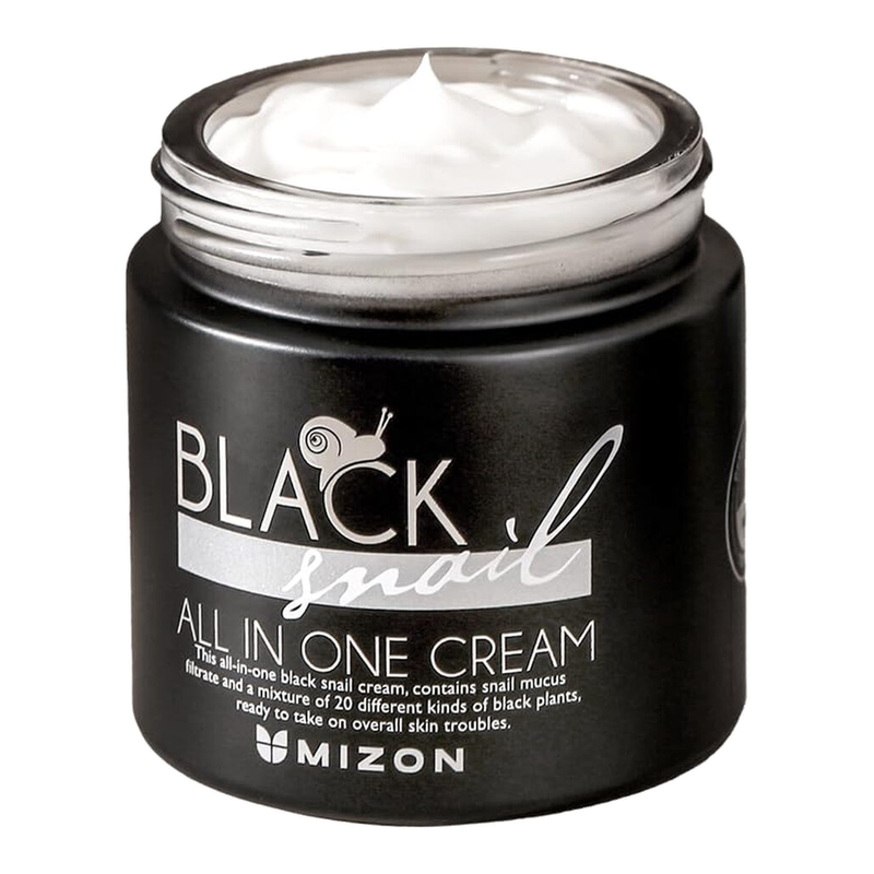MIZON Black Snail All In One Gesichtscreme 75 ml
