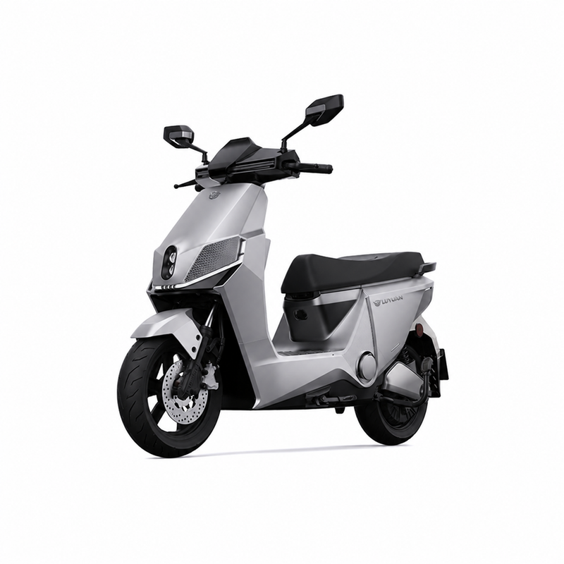 Luyuan Elektromotorrad MS90 L3e-A1 Erwachsene: 3000 W, 80 km/h, Reichweite 80 km, 2-Sitzer, straßenzugelassen, Mondscheinsilber