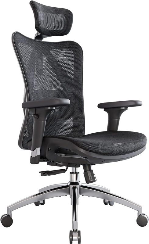 Sihoo M57 Silla Ergonómica Reposabrazos 3D Soporte Lumbar Ajustable Malla - vue 2