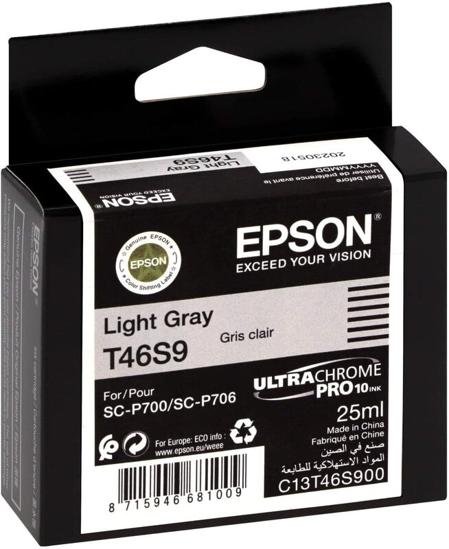 Epson UltraChrome Pro inktcartridge 1 stuk origineel lichtgrijs