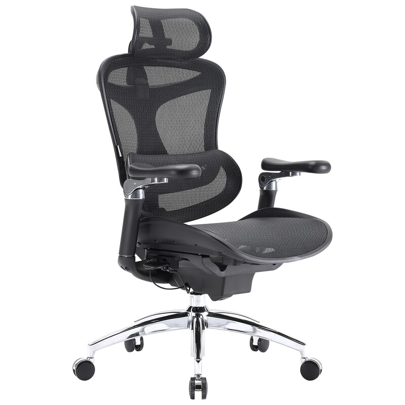 Sihoo Doro C300 Pro ergonomische bureaustoel met ultrazachte 6D-armleuningen, dynamische lendensteun, verstelbare zitdiepte en verstelbare rugleuning, voor thuiswerk (zwart)