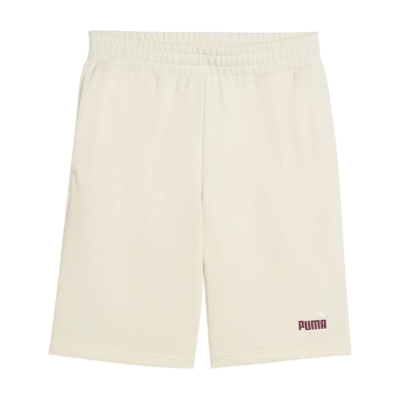 ESS 2 Color No. 1 Logo Shorts 10" TR - No Dye - XXL