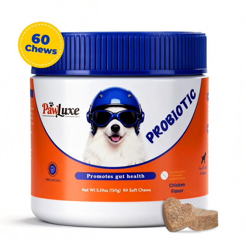 Dog Probiotics Chicken Flavor, 2.5g*60 Count