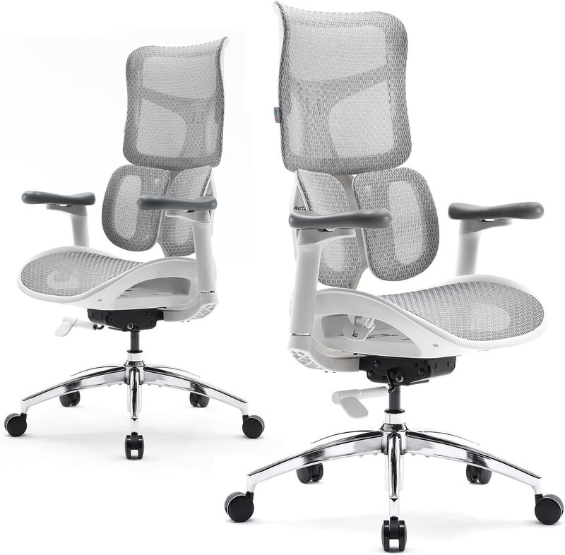 Silla Ergonómica Sihoo Doro S100 Soporte Lumbar Double Dynamique & Réglages