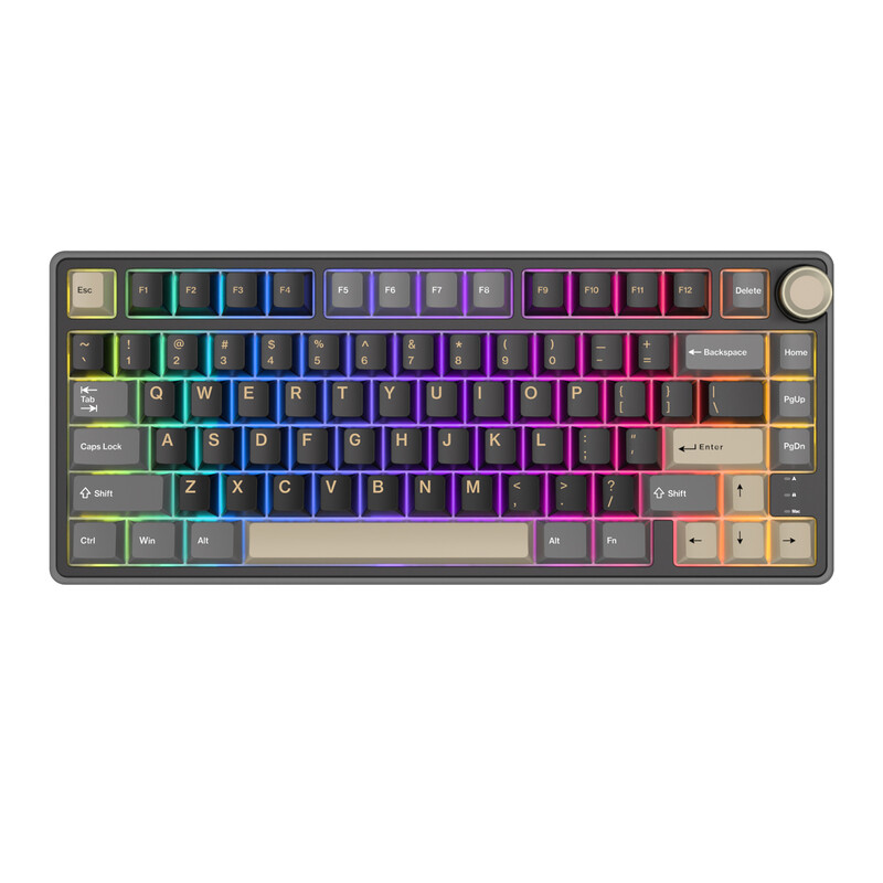 RK ROYAL KLUDGE R75 bedraad gamingtoetsenbord met volumeknop, 75% mechanisch gamingtoetsenbord met custom gasket mount en Cherry Profile PBT-toetsen, hot-swappable K Silver-schakelaar, Phantom-kleur