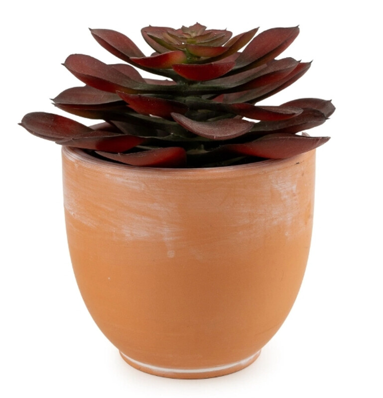 Candlelight Brown Artificial Echeveria Succulent In Terracotta Effect Pot 13Cm