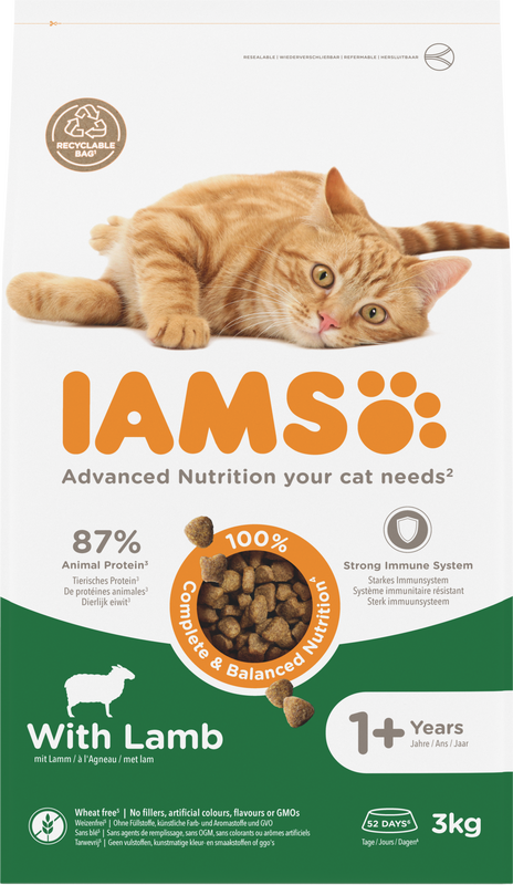 IAMS kattenvoer voor volwassen katten met lam 3 kg
